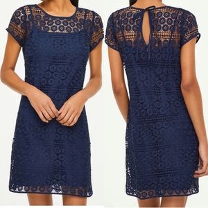 Loft petite navy blue dress